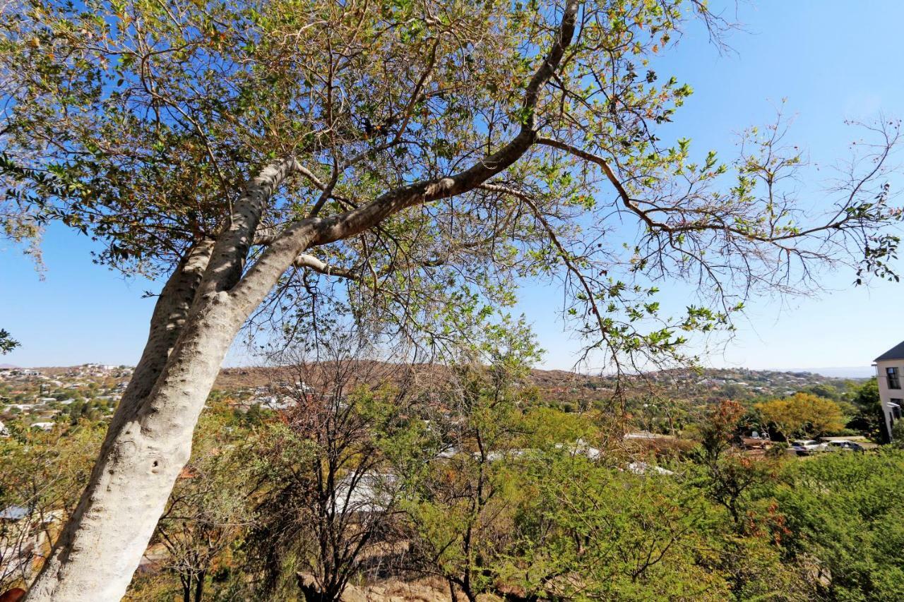 Herzinger Boutique Guesthouse Klein Windhoek Exterior photo